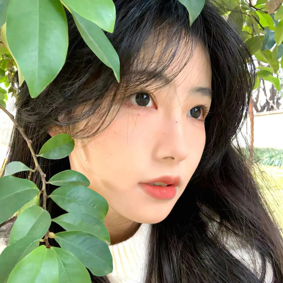 莫丽的朝圣